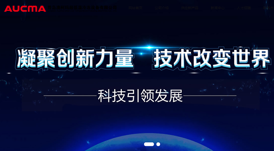 青岛澳柯玛集团网站建设